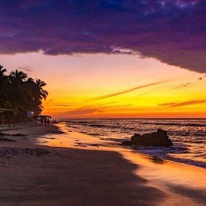 Meet your Posher, Yoli😊